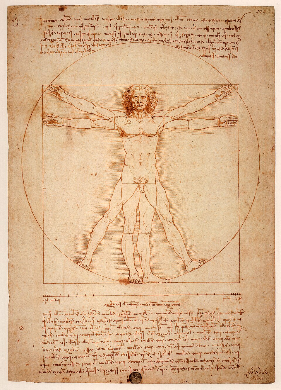 Leonardo da Vinci's Vitruvian Man, showing a human figure within a circle and square